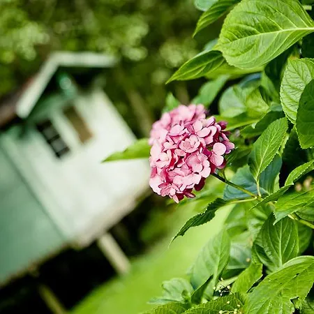 Moulin Du Chapitre Bed & Breakfast *